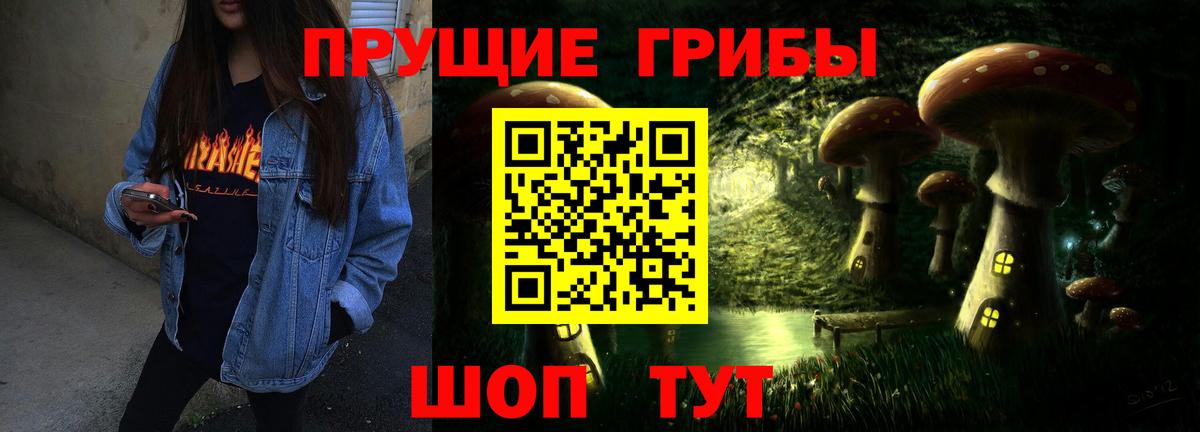 Псилоцибиновые грибы прущие грибы Карачаевск