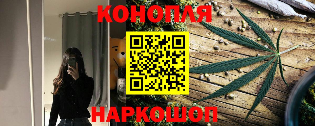 Бошки Шишки гибрид Карачаевск